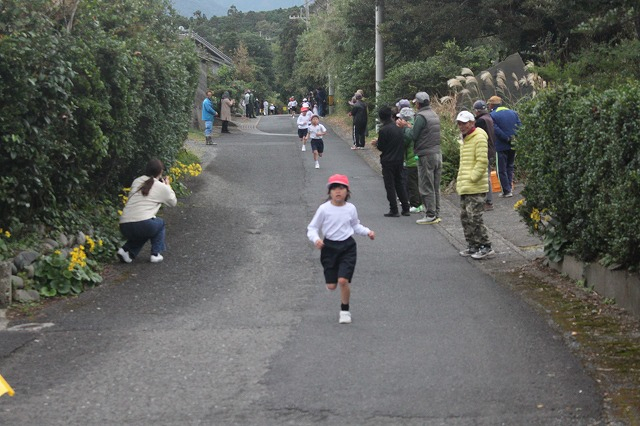 Img_3492 Img_3492